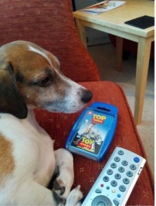 Photo of Claire’s dog on a soft chair with TV remote control and Toy Story Top Trumps pack